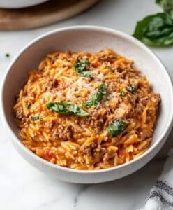 Ground Beef Orzo With Tomato Cream Sauce Recipe - Savory Kitchen Stories